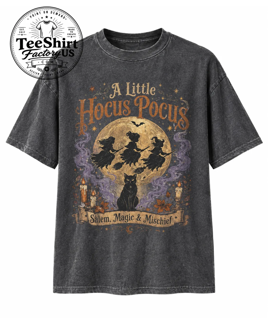 Vintage Hocus Pocus Shirt, Sanderson Sisters Shirt, Salem Witch Tee, Spooky Season Tee, Witchy Graphic Tee, Halloween Gift